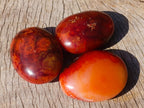 Polished Carnelian Agate Gemstone Galets x 12 From Madagascar - Toprock Gemstones and Minerals 