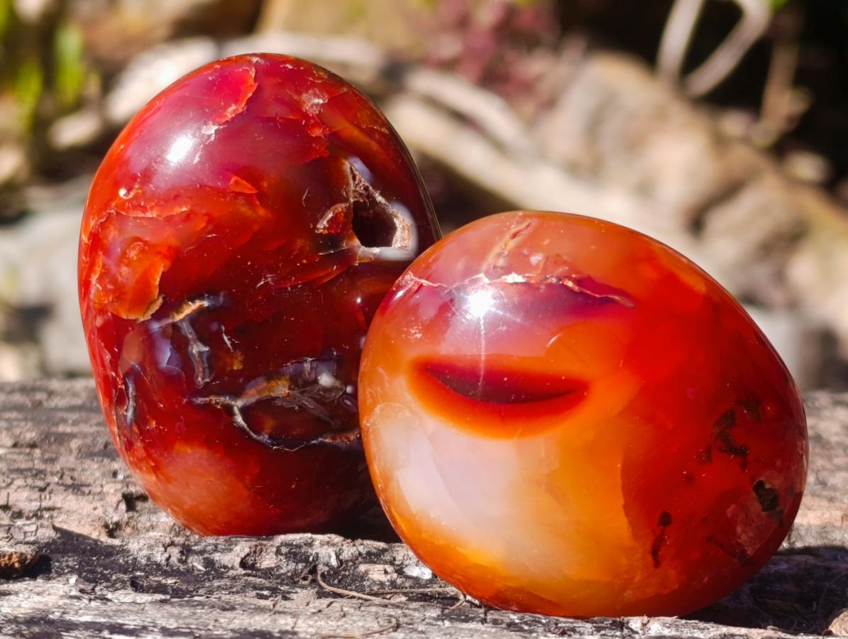 Polished Carnelian Agate Gemstone Galets x 12 From Madagascar - Toprock Gemstones and Minerals 