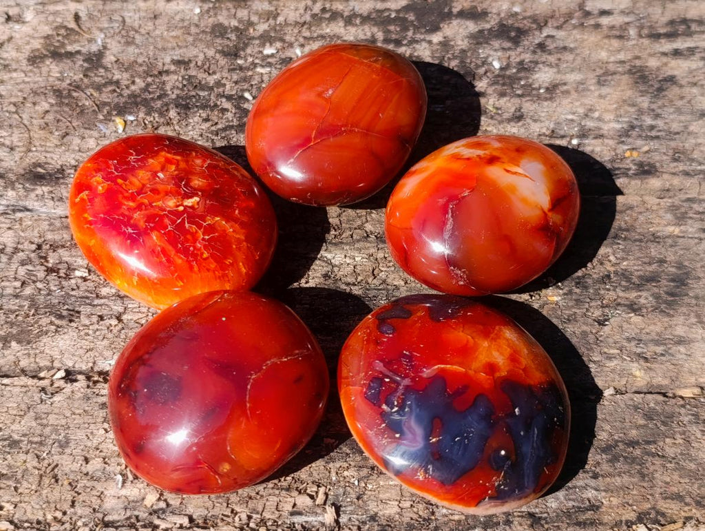 Polished Carnelian Agate Gemstone Galets x 12 From Madagascar - Toprock Gemstones and Minerals 