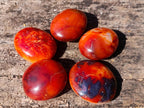 Polished Carnelian Agate Gemstone Galets x 12 From Madagascar - Toprock Gemstones and Minerals 