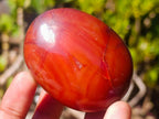 Polished Carnelian Agate Gemstone Galets x 12 From Madagascar - Toprock Gemstones and Minerals 