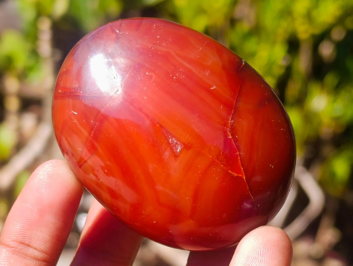 Polished Carnelian Agate Gemstone Galets x 12 From Madagascar - Toprock Gemstones and Minerals 