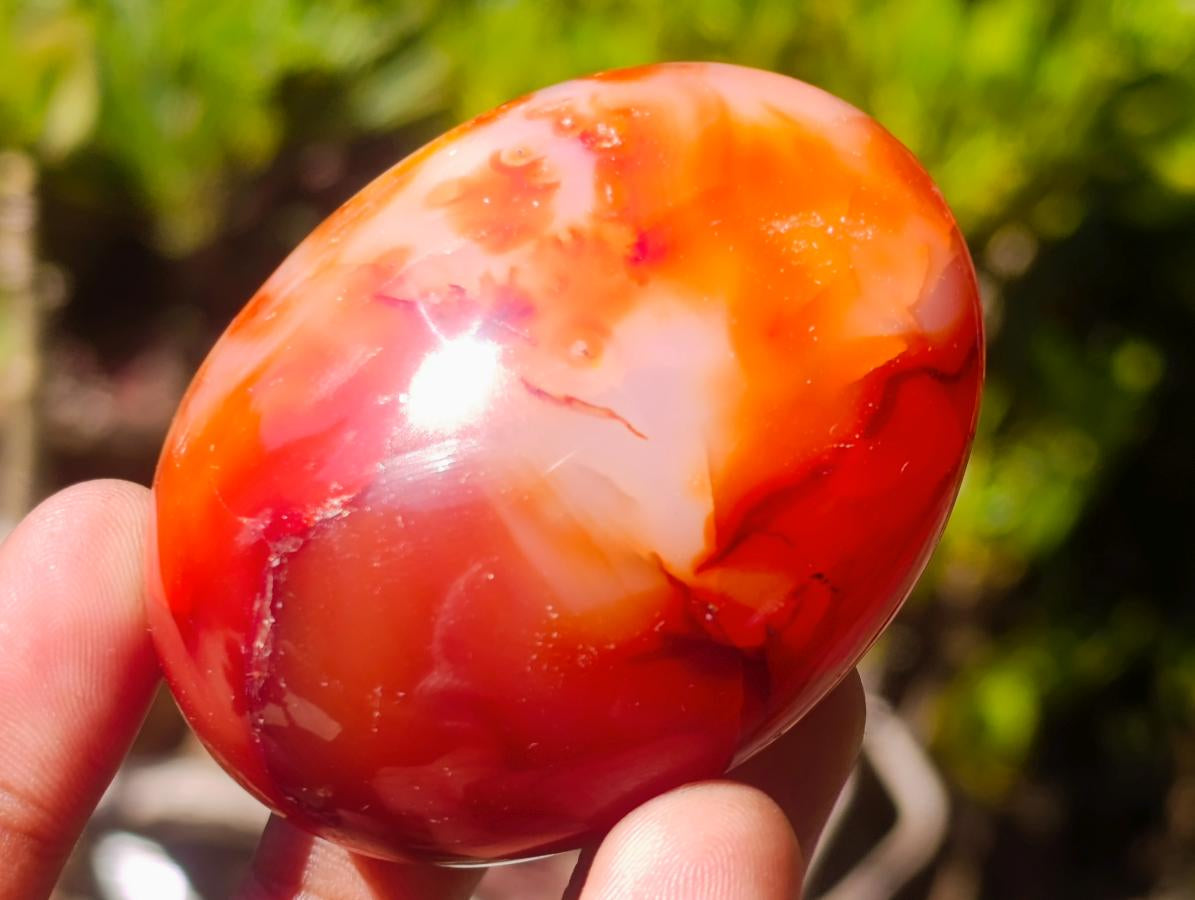 Polished Carnelian Agate Gemstone Galets x 12 From Madagascar - Toprock Gemstones and Minerals 
