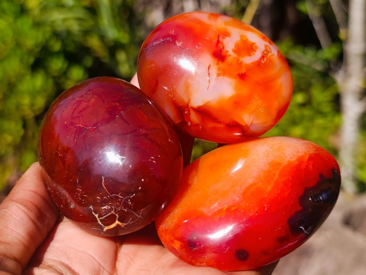 Polished Carnelian Agate Gemstone Galets x 12 From Madagascar - Toprock Gemstones and Minerals 