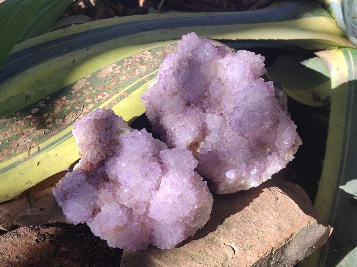 Natural Spirit Amethyst Clusters x 2 From Boekenhouthoek, South Africa - Toprock Gemstones and Minerals 