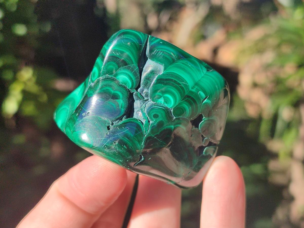 Polished Flower Banded Malachite Free Forms x 3 From Congo - Toprock Gemstones and Minerals 