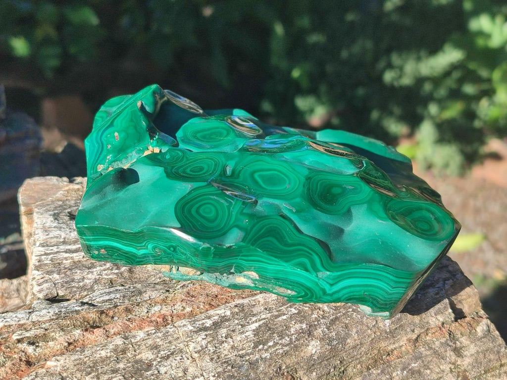 Polished Flower Banded Malachite Free Forms x 3 From Congo - Toprock Gemstones and Minerals 