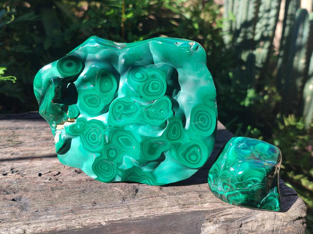 Polished Flower Banded Malachite Free Forms x 3 From Congo - Toprock Gemstones and Minerals 