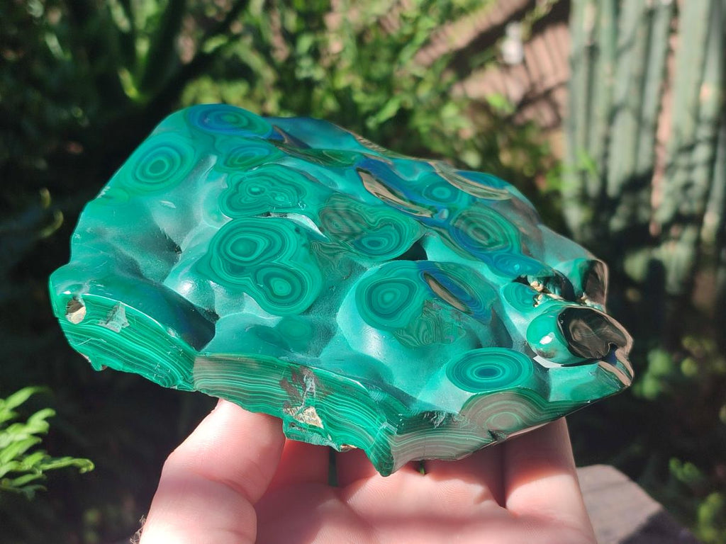 Polished Flower Banded Malachite Free Forms x 3 From Congo - Toprock Gemstones and Minerals 