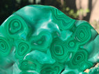 Polished Flower Banded Malachite Free Forms x 3 From Congo - Toprock Gemstones and Minerals 