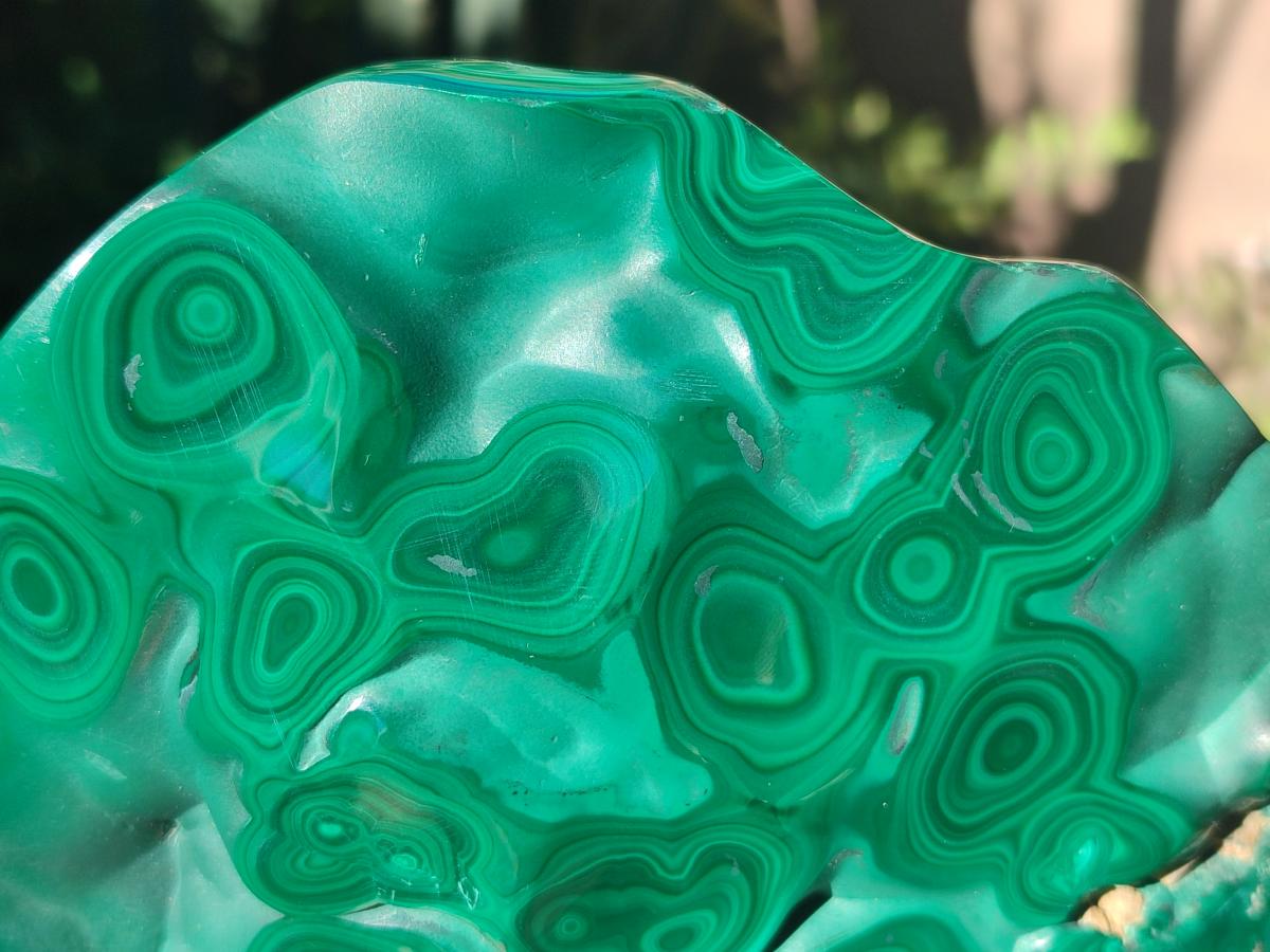 Polished Flower Banded Malachite Free Forms x 3 From Congo - Toprock Gemstones and Minerals 