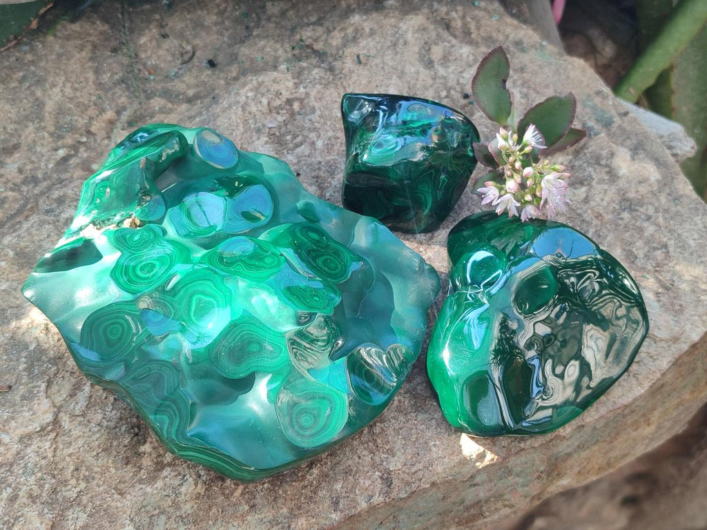 Polished Flower Banded Malachite Free Forms x 3 From Congo - Toprock Gemstones and Minerals 