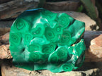 Polished Flower Banded Malachite Free Forms x 3 From Congo - Toprock Gemstones and Minerals 