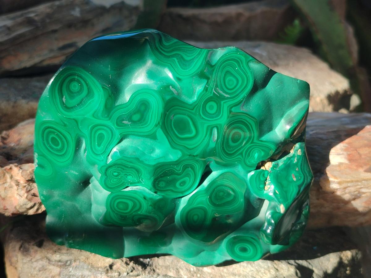 Polished Flower Banded Malachite Free Forms x 3 From Congo - Toprock Gemstones and Minerals 