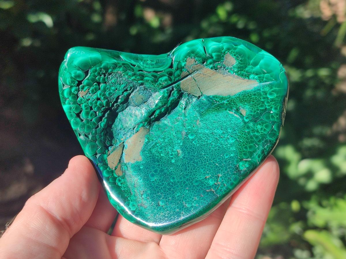 Polished Flower Banded Malachite Free Forms x 3 From Congo - Toprock Gemstones and Minerals 