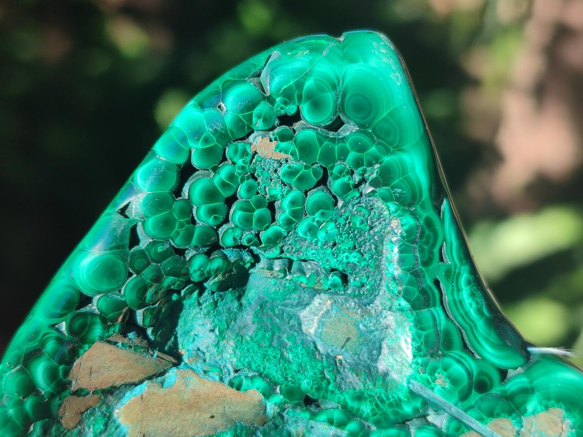 Polished Flower Banded Malachite Free Forms x 3 From Congo - Toprock Gemstones and Minerals 