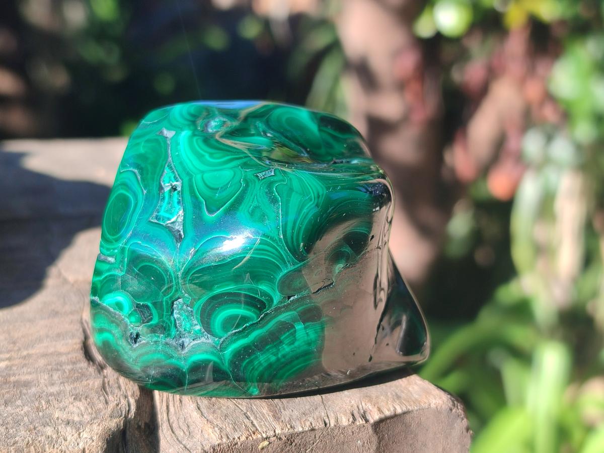 Polished Flower Banded Malachite Free Forms x 3 From Congo - Toprock Gemstones and Minerals 