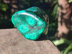 Polished Flower Banded Malachite Free Forms x 3 From Congo - Toprock Gemstones and Minerals 
