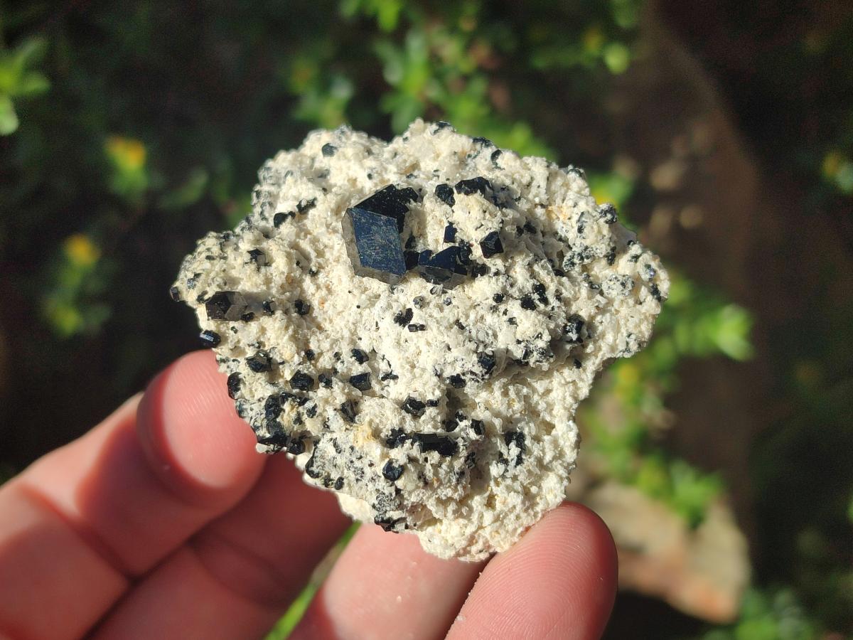 Natural Schorl Black Tourmaline with Feldspar and Mica Specimens x 20 From Erongo, Namibia - Toprock Gemstones and Minerals 