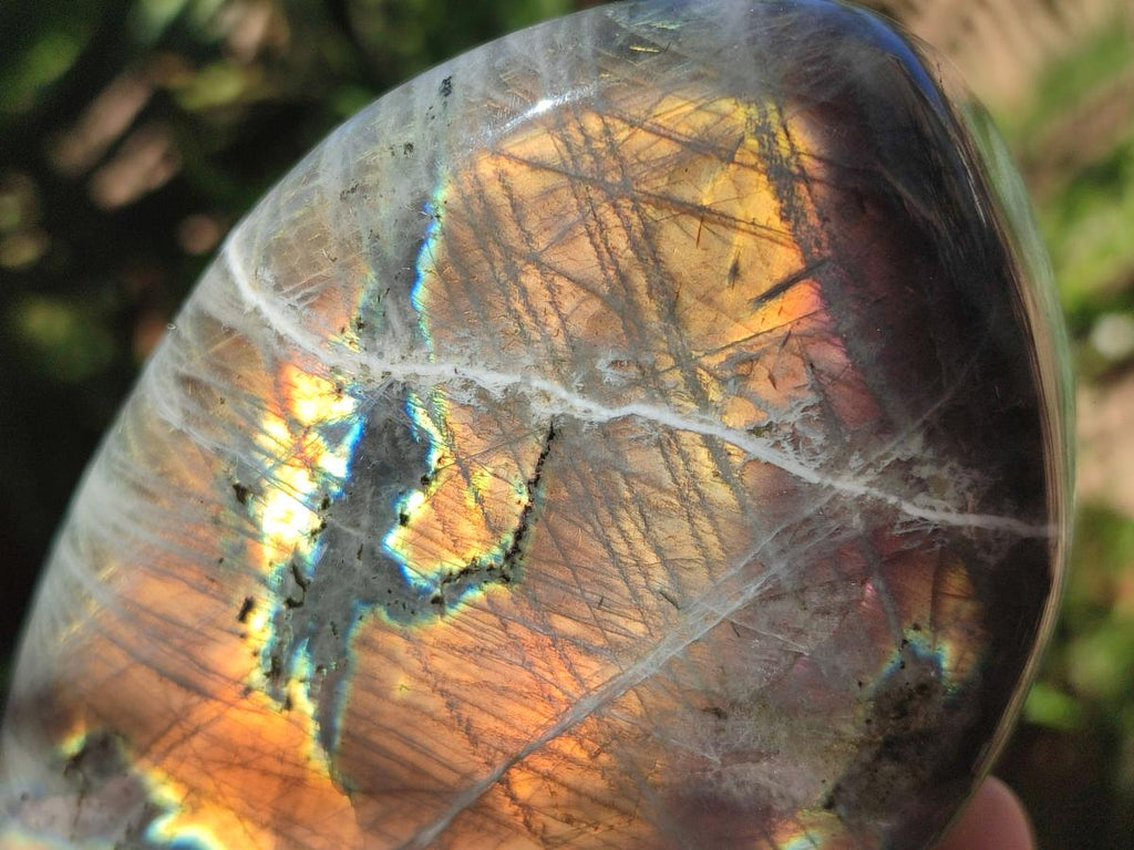 Polished Labradorite Standing Display Pieces x 2 From Madagascar - Toprock Gemstones and Minerals 