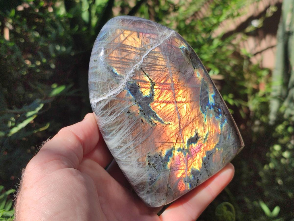 Polished Labradorite Standing Display Pieces x 2 From Madagascar - Toprock Gemstones and Minerals 