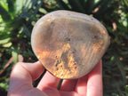 Polished Labradorite Standing Display Pieces x 2 From Madagascar - Toprock Gemstones and Minerals 