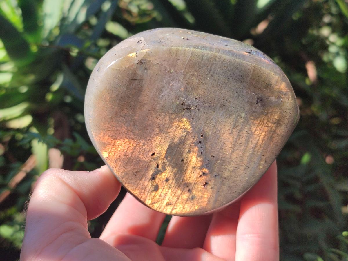 Polished Labradorite Standing Display Pieces x 2 From Madagascar - Toprock Gemstones and Minerals 