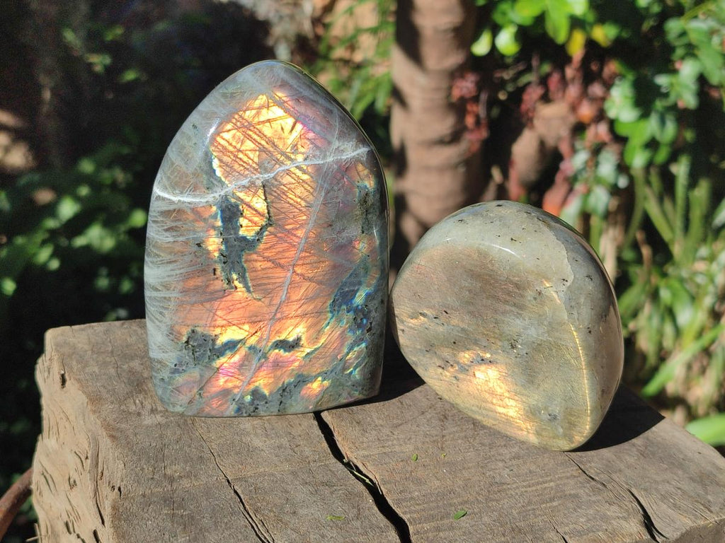 Polished Labradorite Standing Display Pieces x 2 From Madagascar - Toprock Gemstones and Minerals 