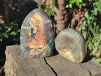 Polished Labradorite Standing Display Pieces x 2 From Madagascar - Toprock Gemstones and Minerals 