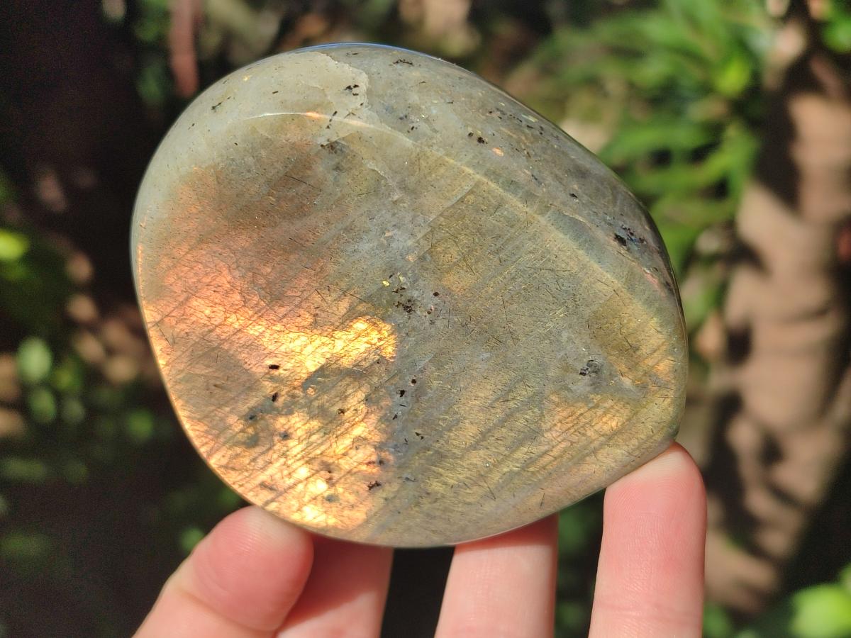 Polished Labradorite Standing Display Pieces x 2 From Madagascar - Toprock Gemstones and Minerals 