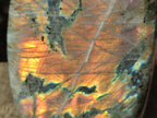 Polished Labradorite Standing Display Pieces x 2 From Madagascar - Toprock Gemstones and Minerals 