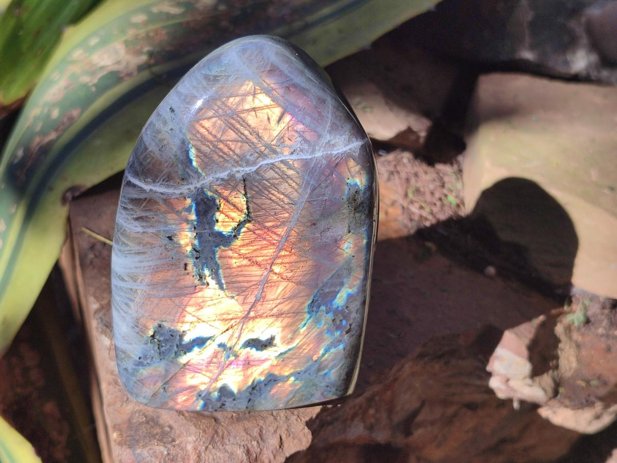 Polished Labradorite Standing Display Pieces x 2 From Madagascar - Toprock Gemstones and Minerals 
