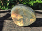 Polished Labradorite Standing Display Pieces x 2 From Madagascar - Toprock Gemstones and Minerals 