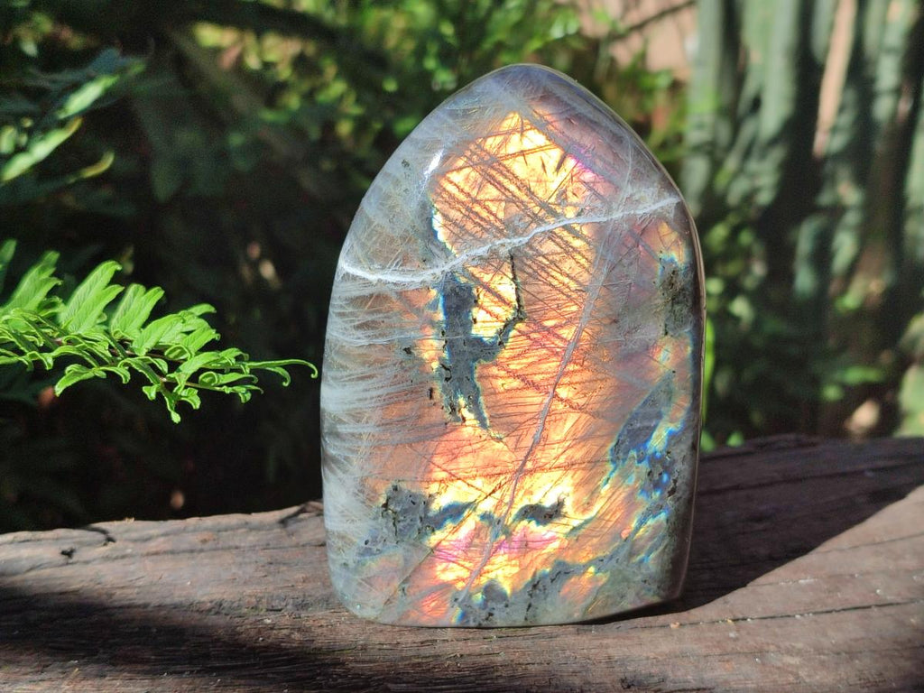 Polished Labradorite Standing Display Pieces x 2 From Madagascar - Toprock Gemstones and Minerals 