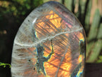 Polished Labradorite Standing Display Pieces x 2 From Madagascar - Toprock Gemstones and Minerals 