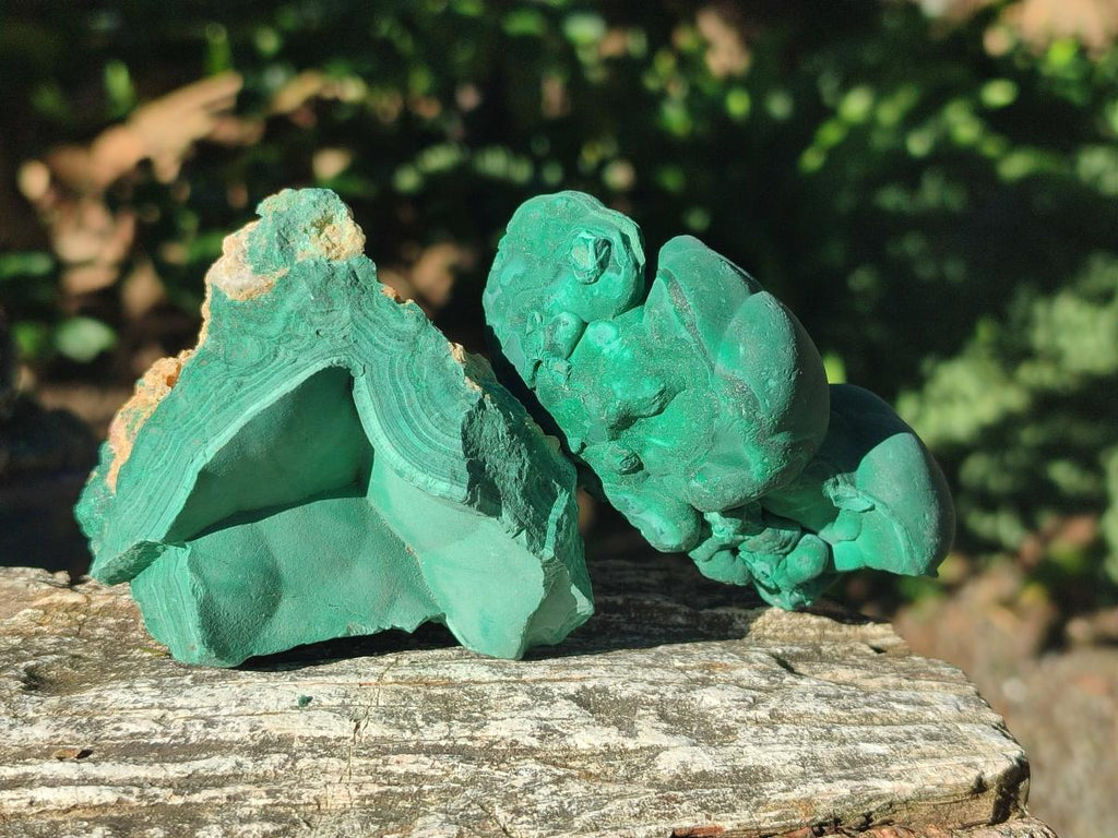Natural Botryoidal Malachite Specimens x 6 From Congo - Toprock Gemstones and Minerals 
