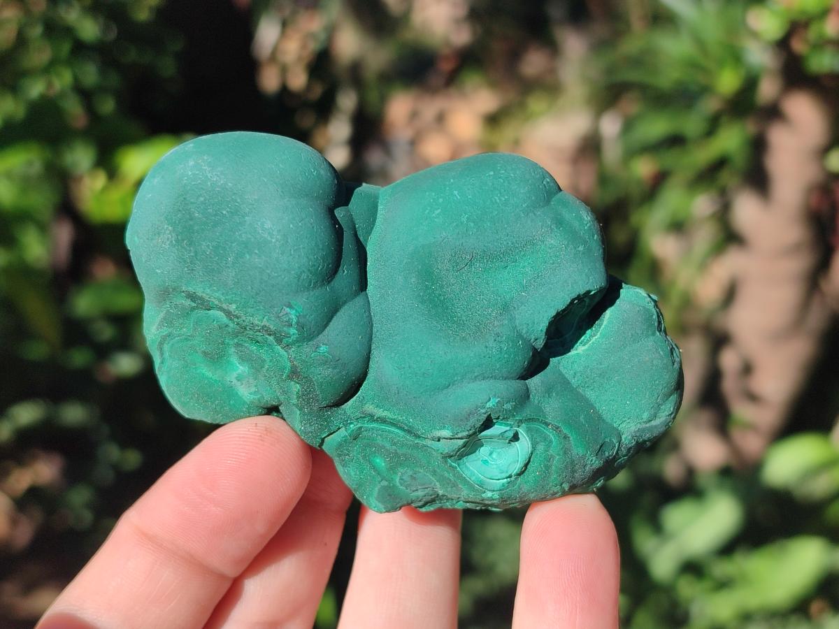 Natural Botryoidal Malachite Specimens x 6 From Congo - Toprock Gemstones and Minerals 