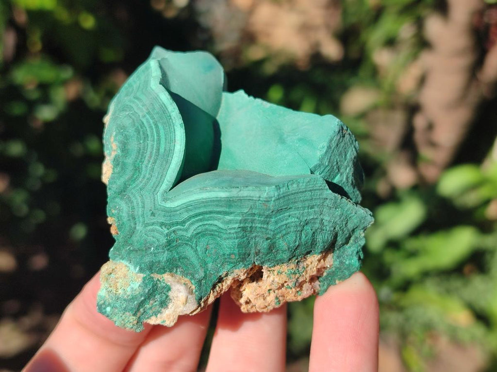 Natural Botryoidal Malachite Specimens x 6 From Congo - Toprock Gemstones and Minerals 