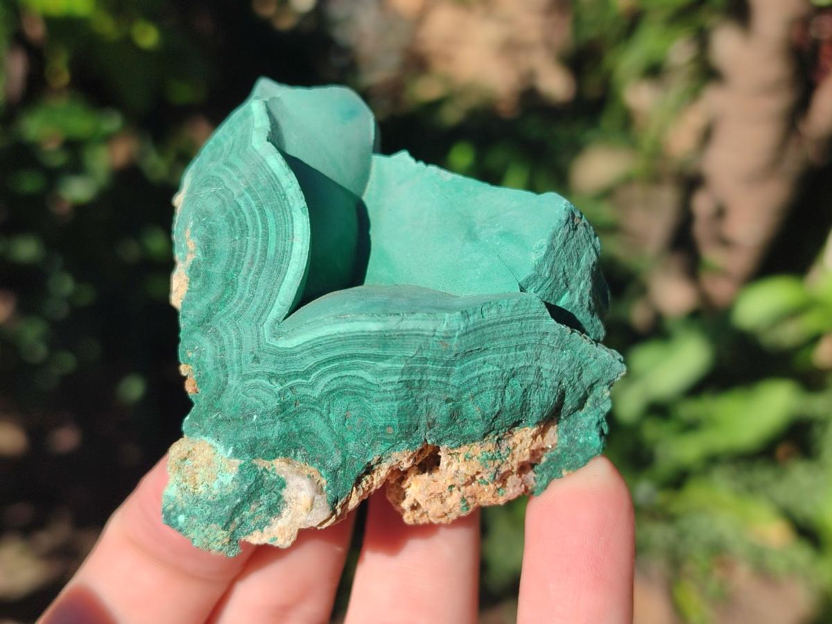 Natural Botryoidal Malachite Specimens x 6 From Congo - Toprock Gemstones and Minerals 
