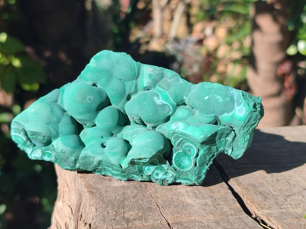 Natural Botryoidal Malachite Specimens x 6 From Congo - Toprock Gemstones and Minerals 