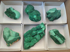 Natural Botryoidal Malachite Specimens x 6 From Congo - Toprock Gemstones and Minerals 
