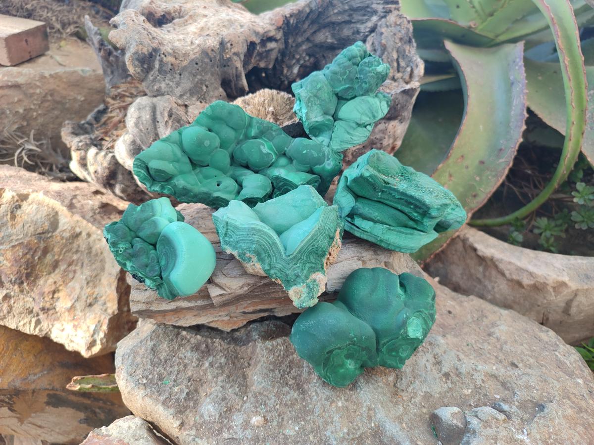 Natural Botryoidal Malachite Specimens x 6 From Congo - Toprock Gemstones and Minerals 