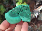 Natural Botryoidal Malachite Specimens x 6 From Congo - Toprock Gemstones and Minerals 