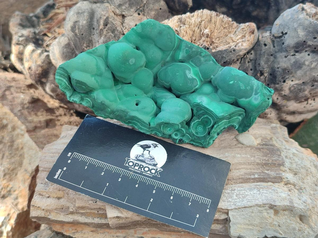 Natural Botryoidal Malachite Specimens x 6 From Congo - Toprock Gemstones and Minerals 
