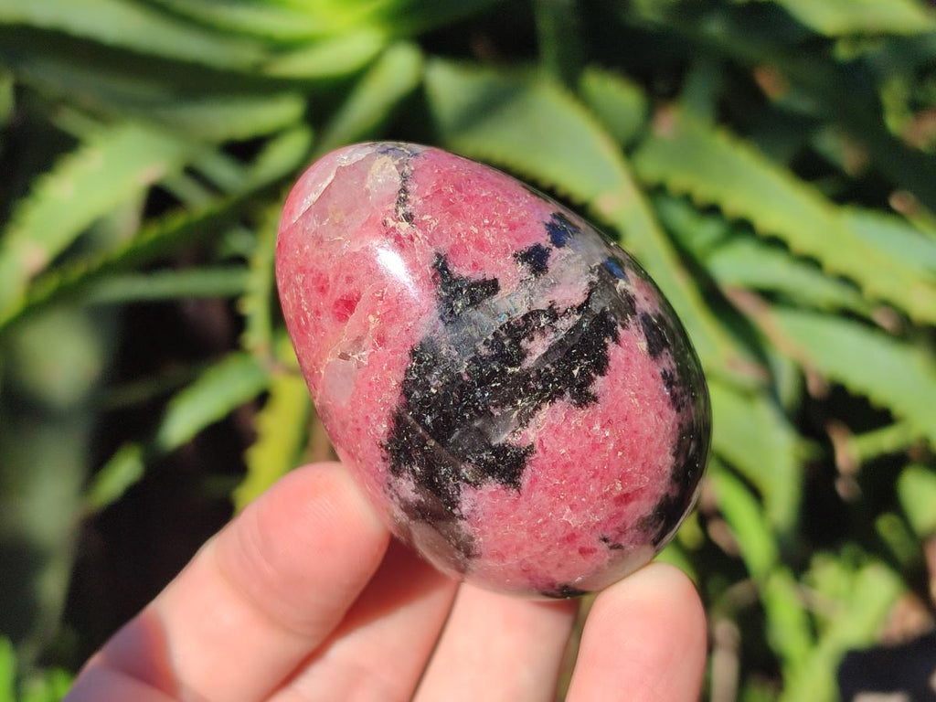 Polished Rhodonite Gemstone Eggs x 6 From Ambindavato, Madagascar - Toprock Gemstones and Minerals 
