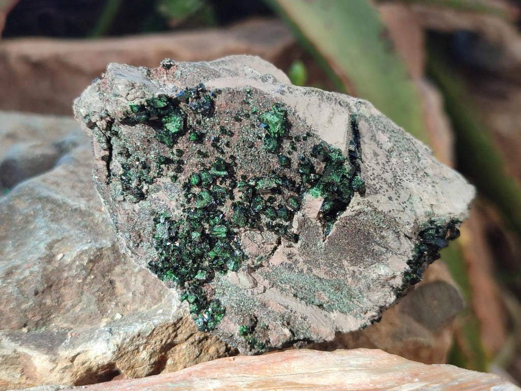 Natural Libethenite Crystals on Dolomite Matrix Specimens x 6 From Shituru, Congo - Toprock Gemstones and Minerals 