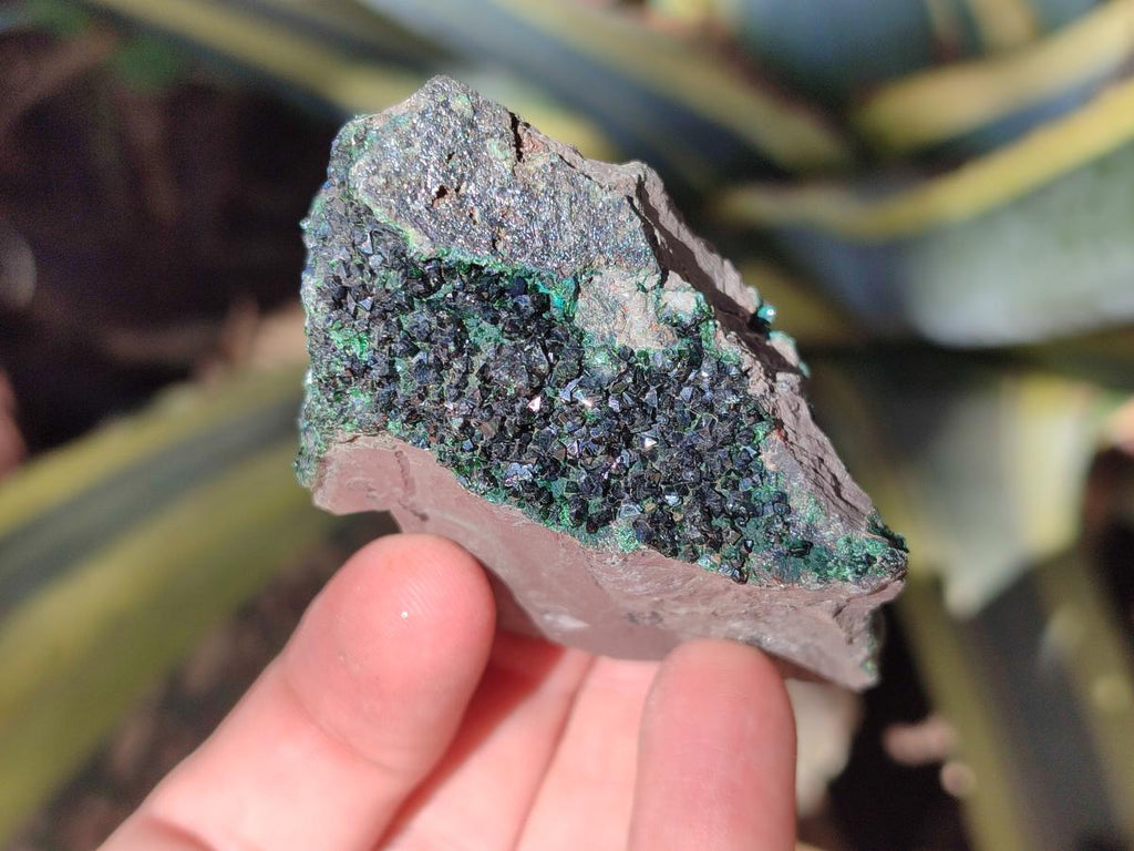 Natural Libethenite Crystals on Dolomite Matrix Specimens x 6 From Shituru, Congo - Toprock Gemstones and Minerals 