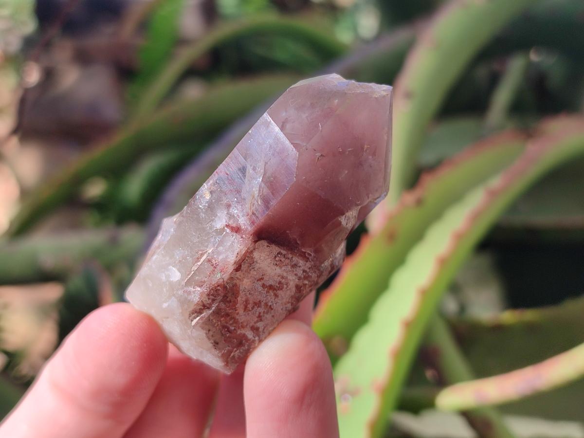 Natural Red Hematoid Quartz Crystals x 24 From Karoi, Zimbabwe - Toprock Gemstones and Minerals 