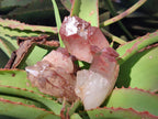 Natural Red Hematoid Quartz Crystals x 24 From Karoi, Zimbabwe - Toprock Gemstones and Minerals 