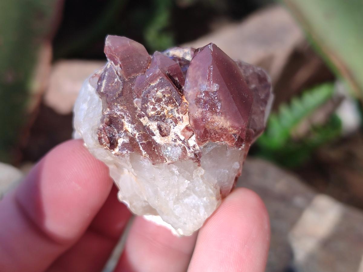 Natural Red Hematoid Quartz Crystals x 24 From Karoi, Zimbabwe - Toprock Gemstones and Minerals 